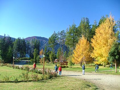 Villa Traful